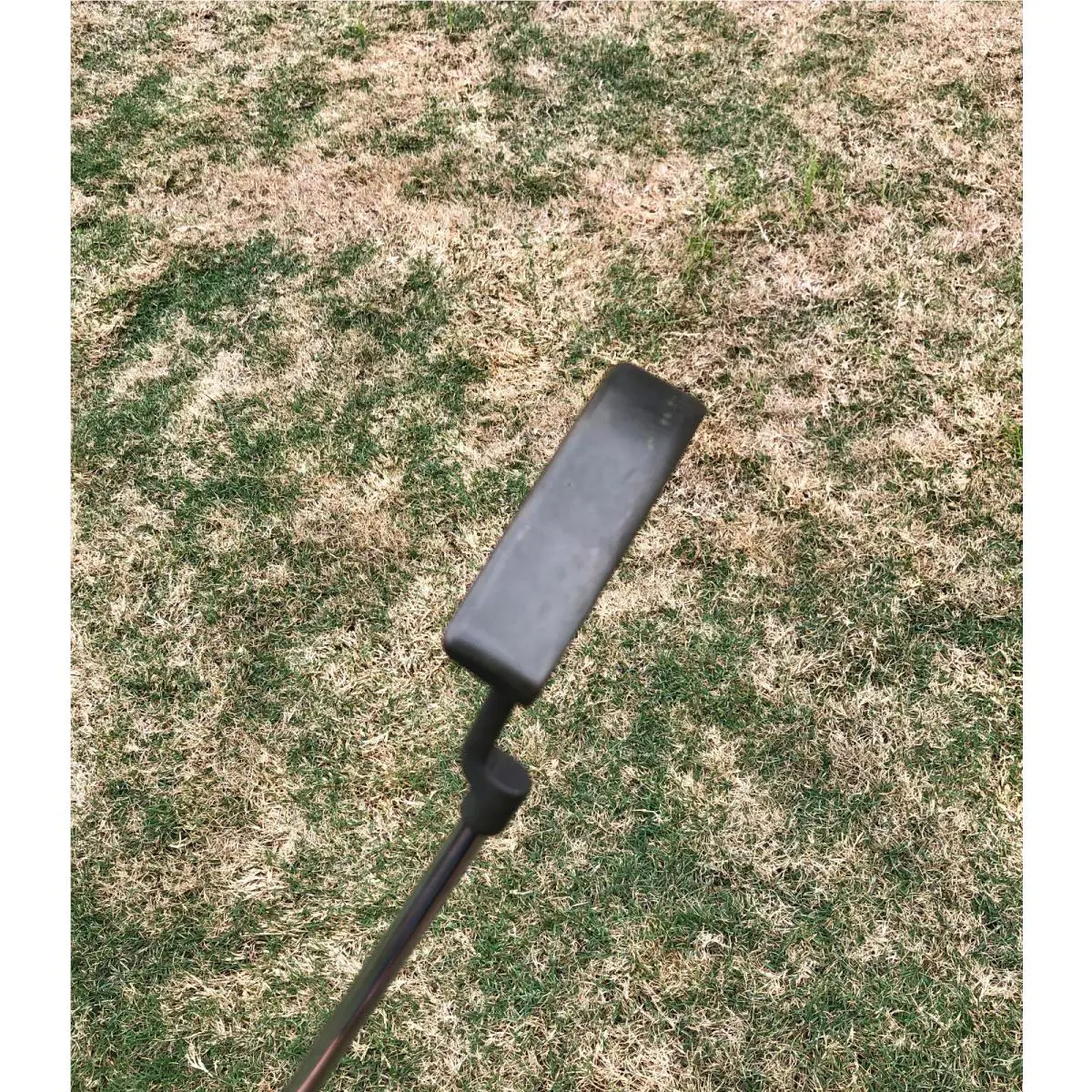 Ping  - PING MY DAY Plumber Neck Putter 2