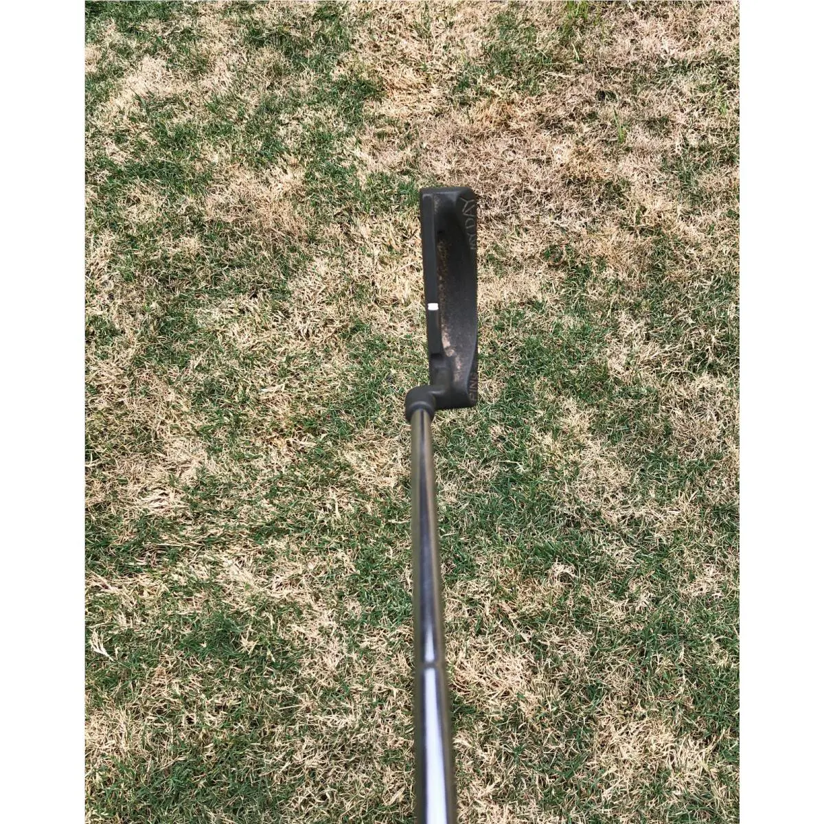 Ping  - PING MY DAY Plumber Neck Putter 3