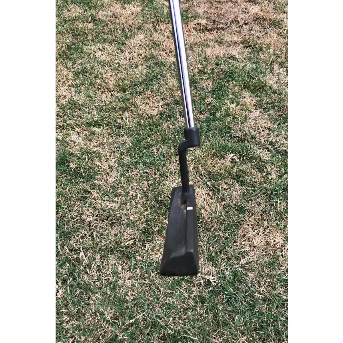 Ping  - PING MY DAY Plumber Neck Putter 4