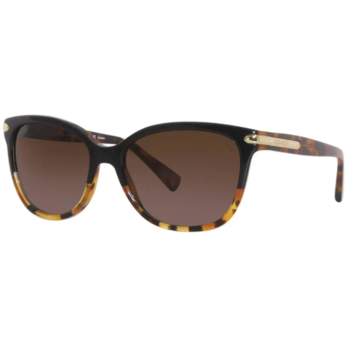 Coach HC8132 5438T5 Sunglasses Black-tortoise Gradient/brown Polarized Grad 57mm