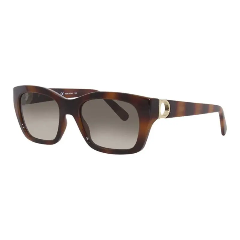 Salvatore Ferragamo SF1012S 214 Dark Havana/brown Gradient 53-19-140