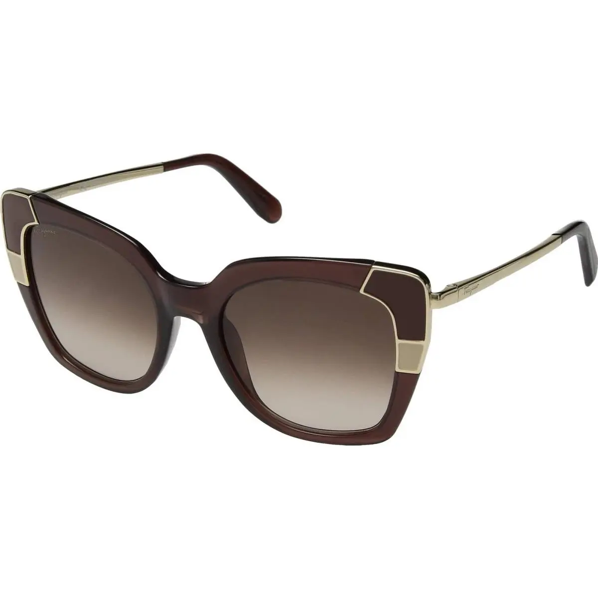 Salvatore Ferragamo SF 889S 210 Crystal Brown Sunglasses with Brown Lenses - Crystal Brown, Frame: Brown, Lens: Brown