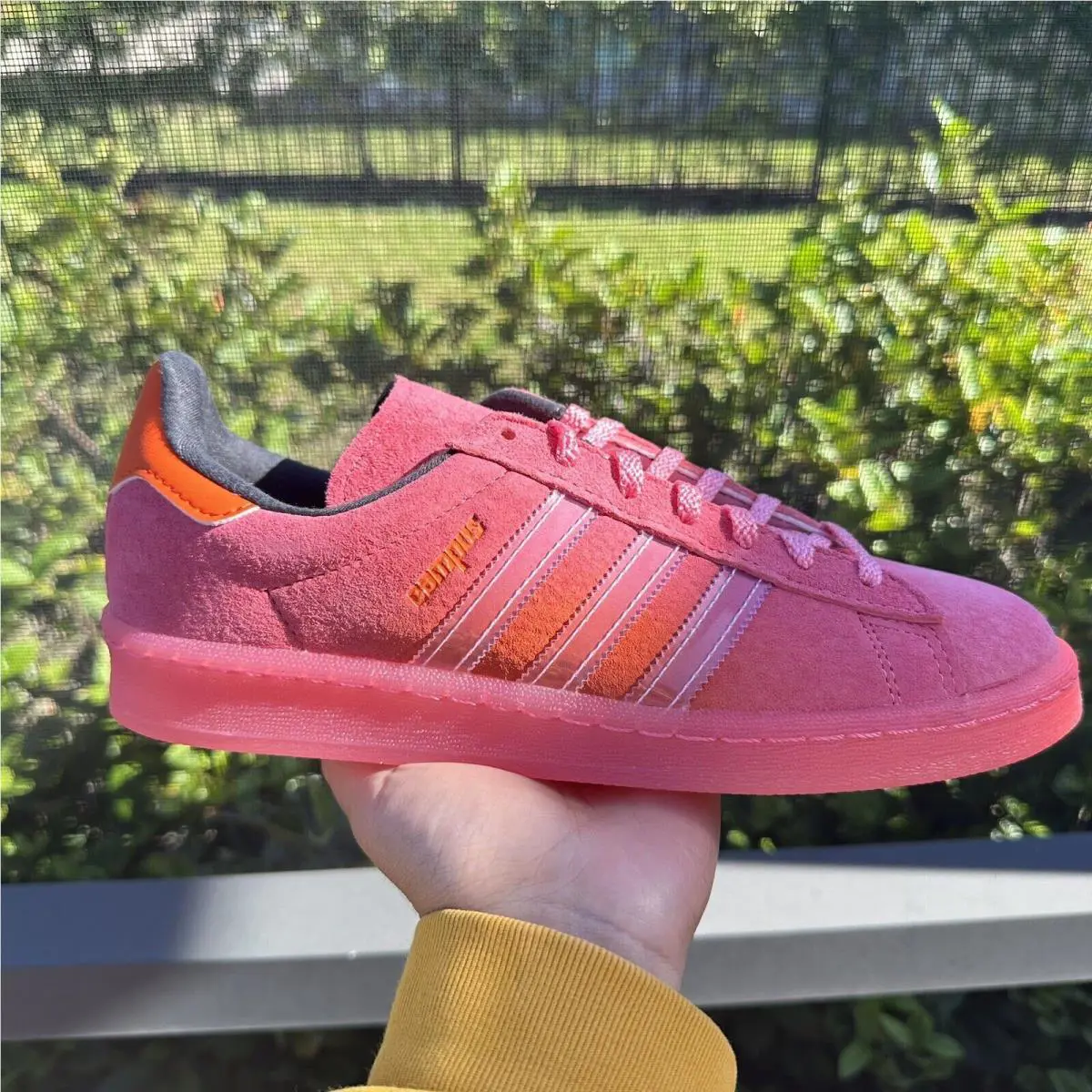 Adidas shoes - adidas Campus - Campus - GY4981 - Pink 5