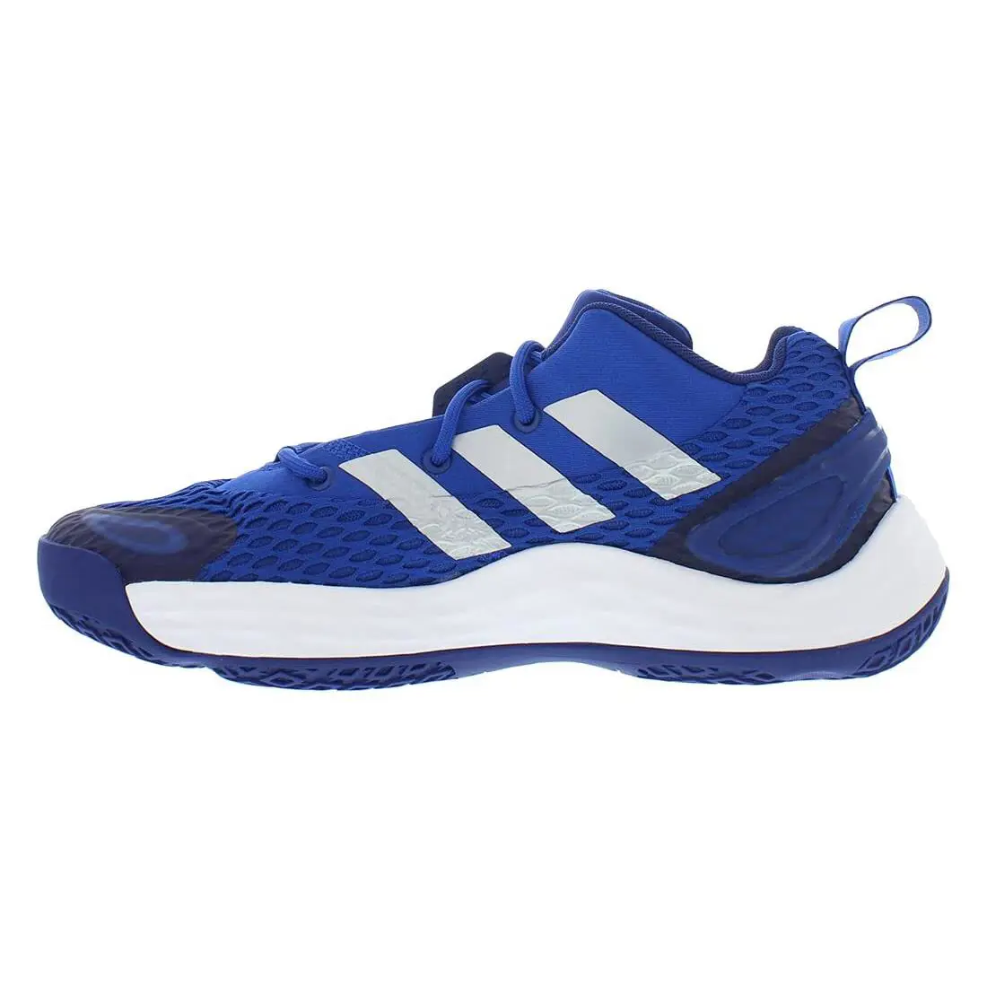 Adidas shoes - Royblu,Silvmt,Vicblu 1