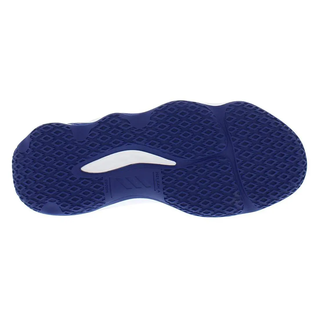 Adidas shoes - Royblu,Silvmt,Vicblu 2