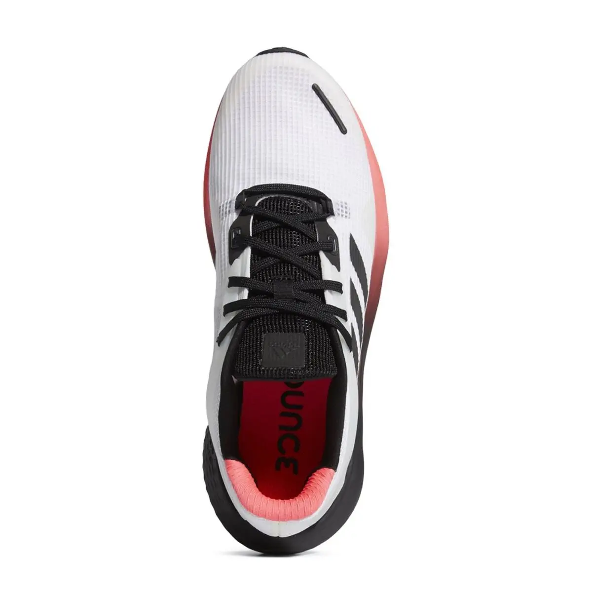 Adidas shoes - White 2