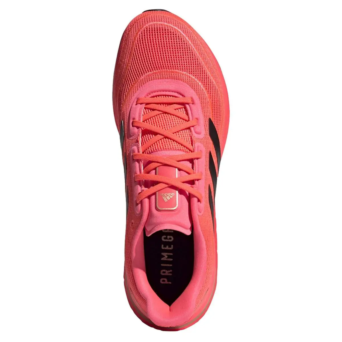 Adidas shoes - Red 0