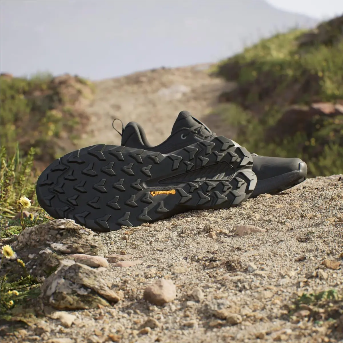 Adidas shoes - adidas TERREX Free Hiker - TERREX Free Hiker - Core Black / Core Black / Grey Four 0
