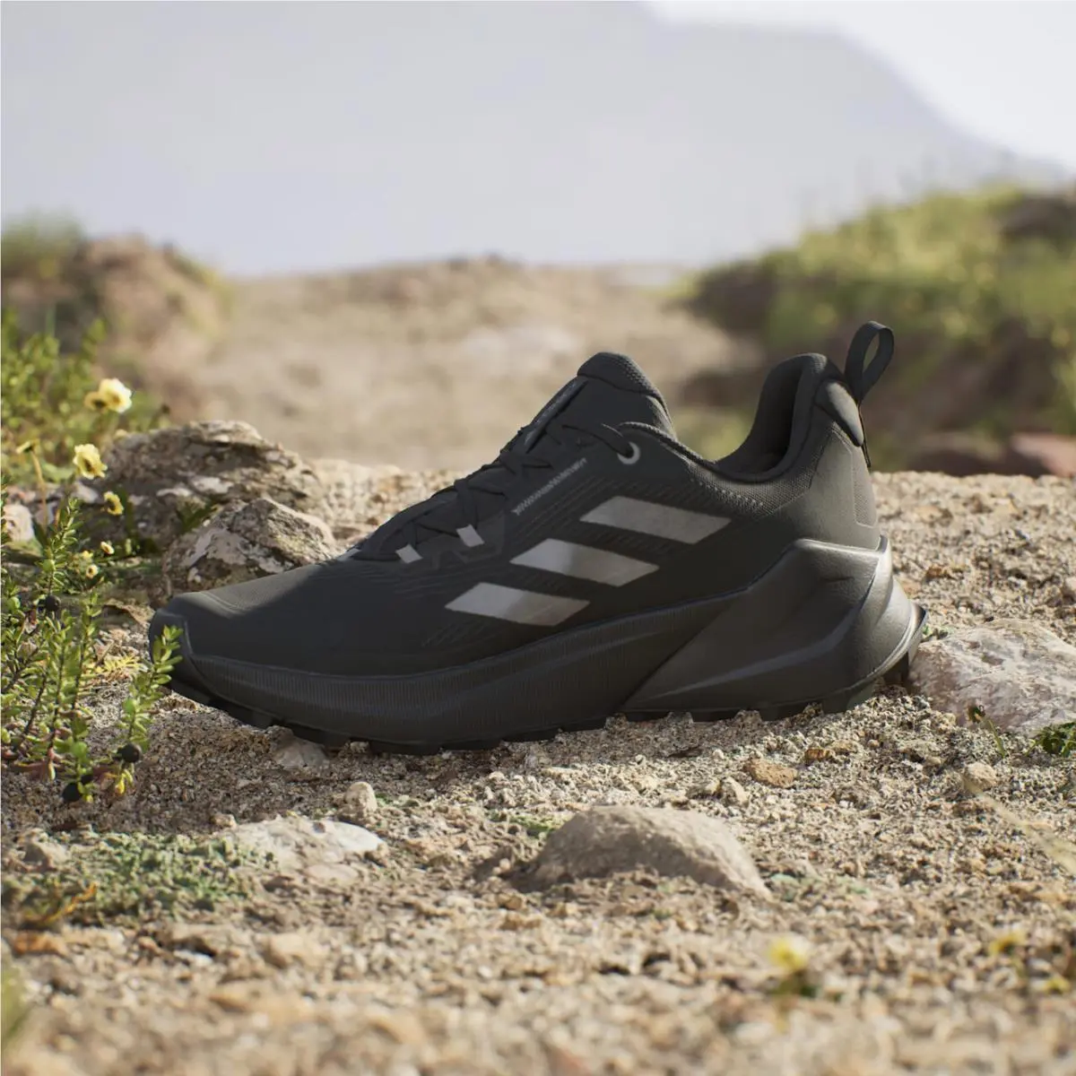 Adidas shoes - adidas TERREX Free Hiker - TERREX Free Hiker - Core Black / Core Black / Grey Four 3