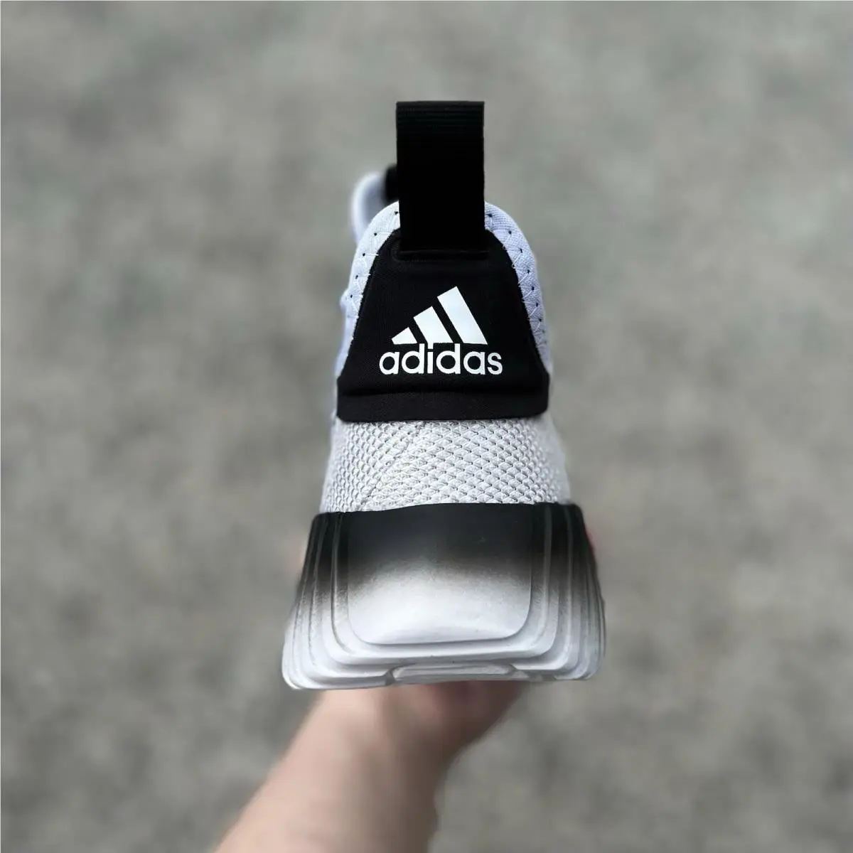 Adidas shoes - adidas Kaptir - Kaptir - Adidas Kaptir 30 - White 15