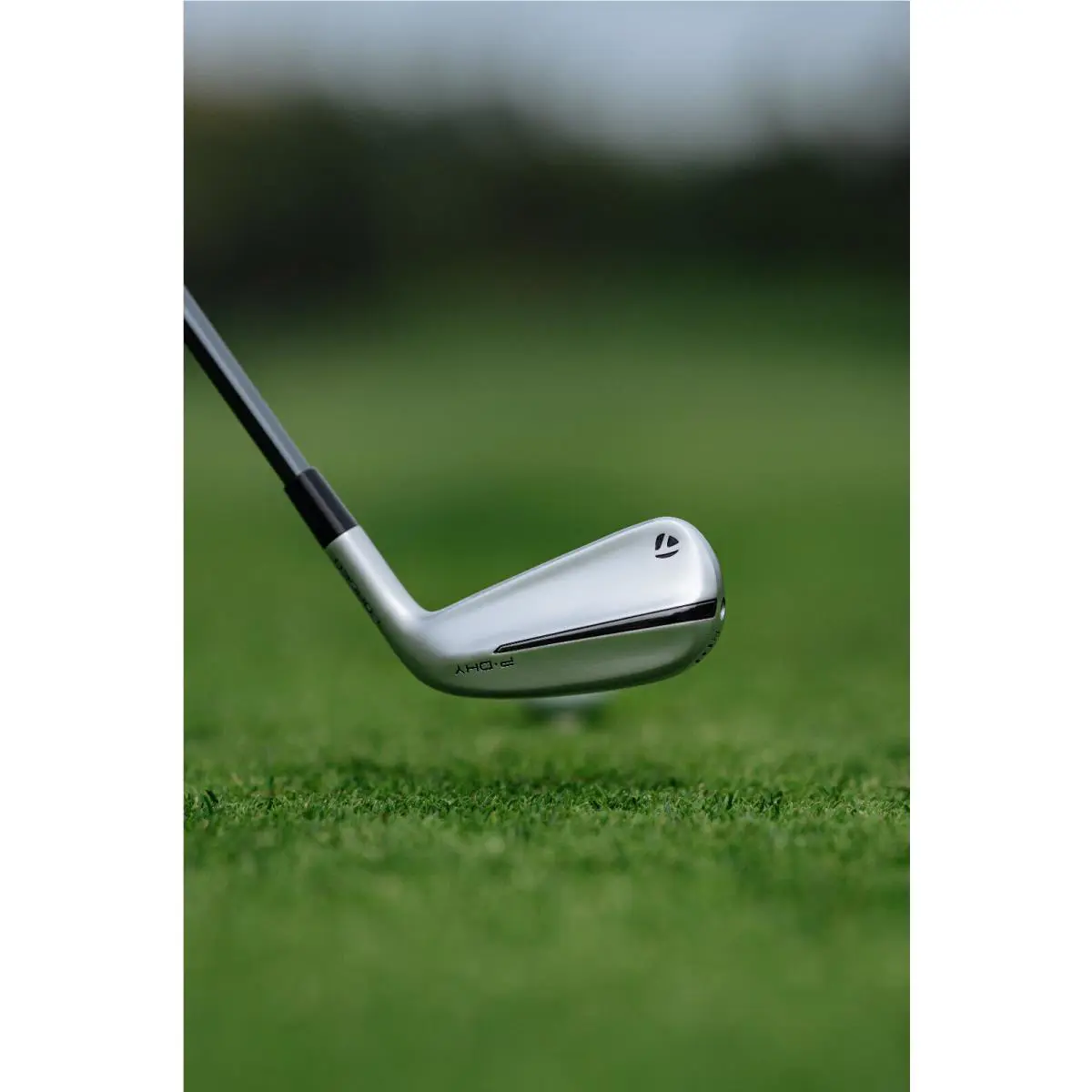 TaylorMade  - Taylormade 2024 P-DHY - Silver 6