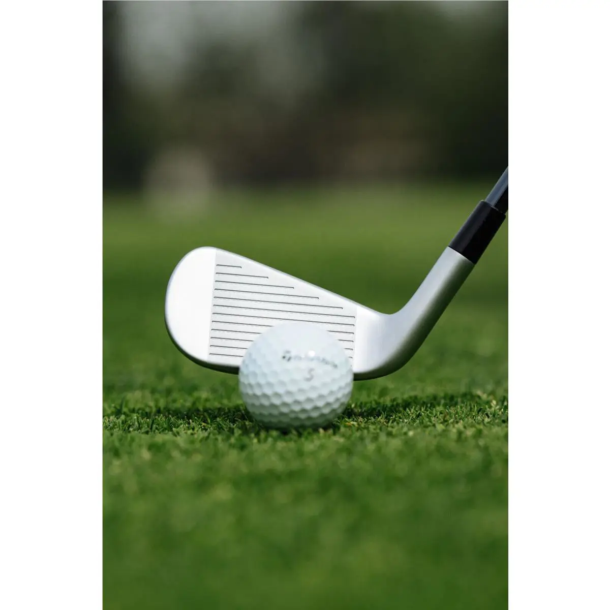 TaylorMade  - Taylormade 2024 P-DHY - Silver 20