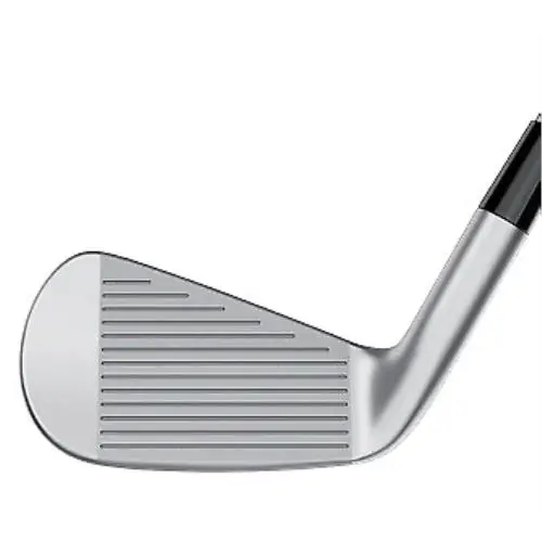TaylorMade  - P•UDI - Stainless 2