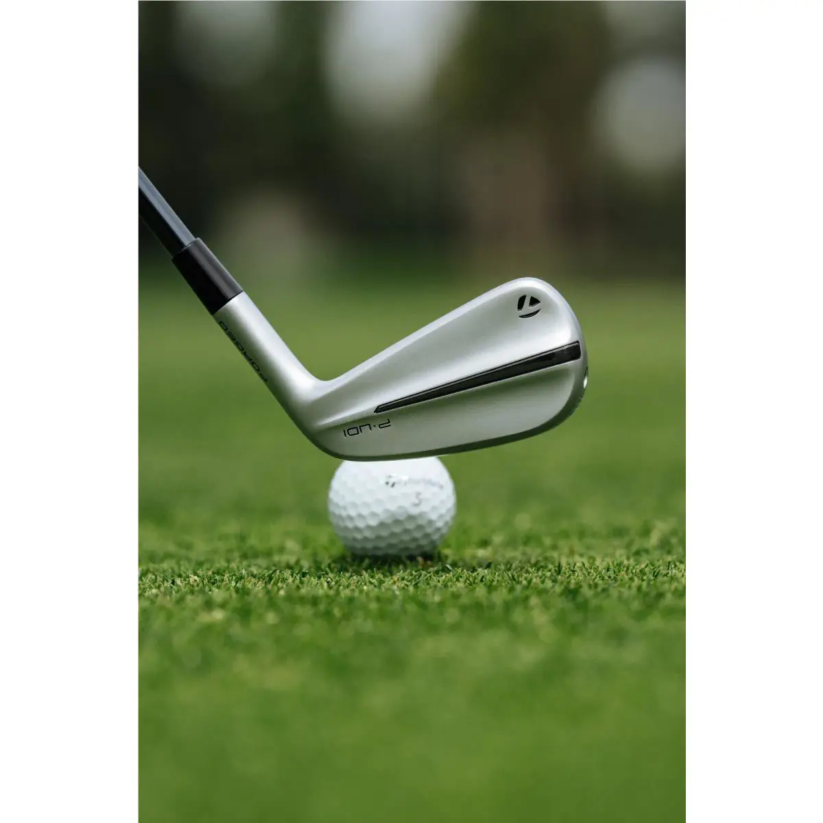 TaylorMade  - Taylormade 2024 P-UDI - Silver 6