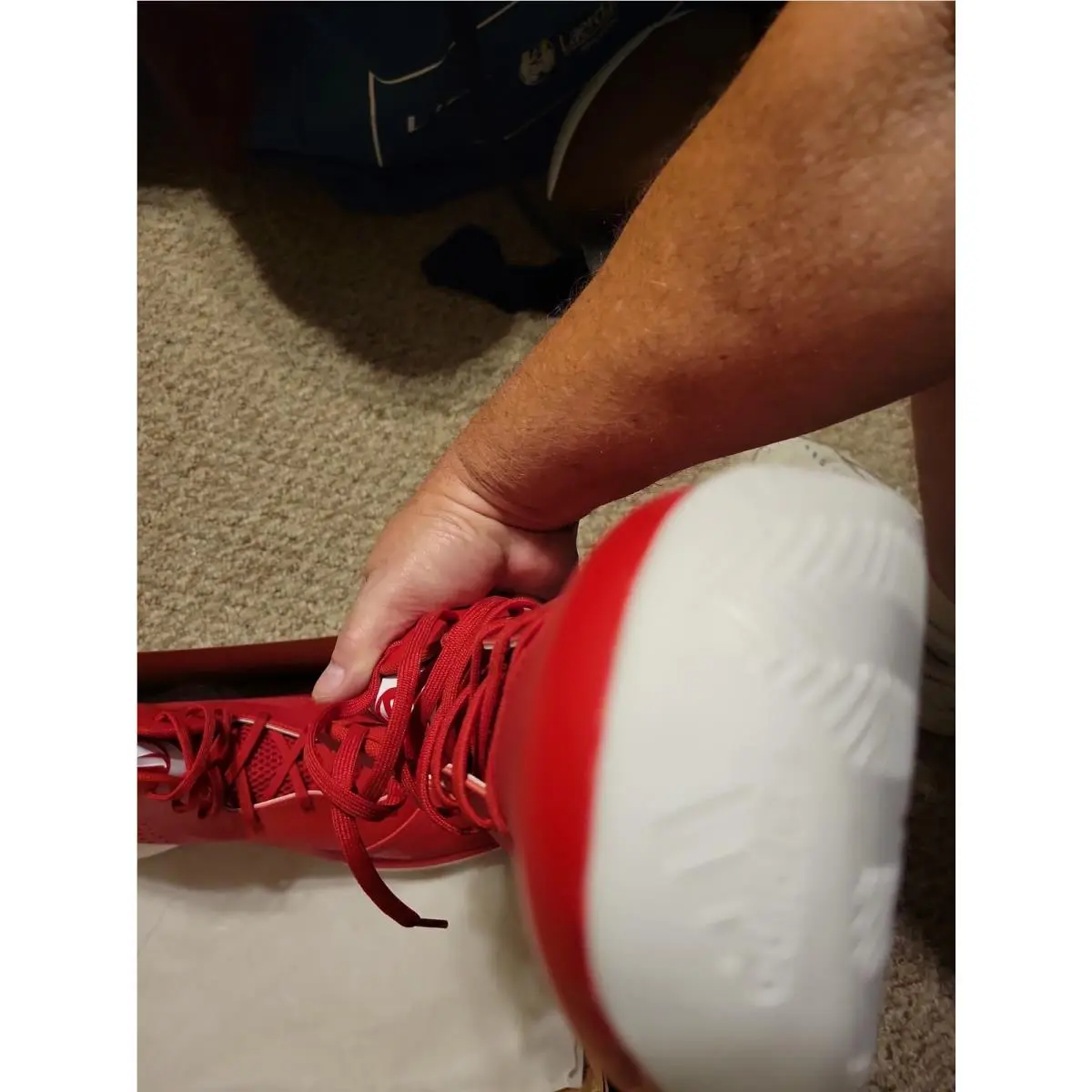 Adidas shoes - Adidas sprintframe - sprintframe - Red 2