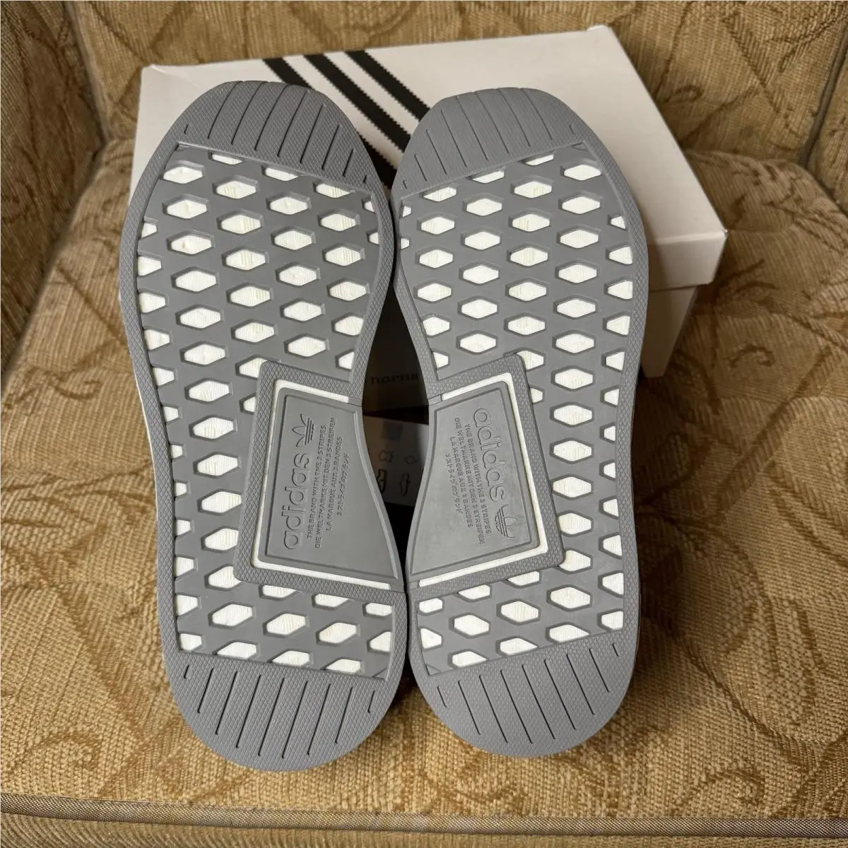Adidas shoes - Wings + horns - Wings horns - BB3117 - Gray 5