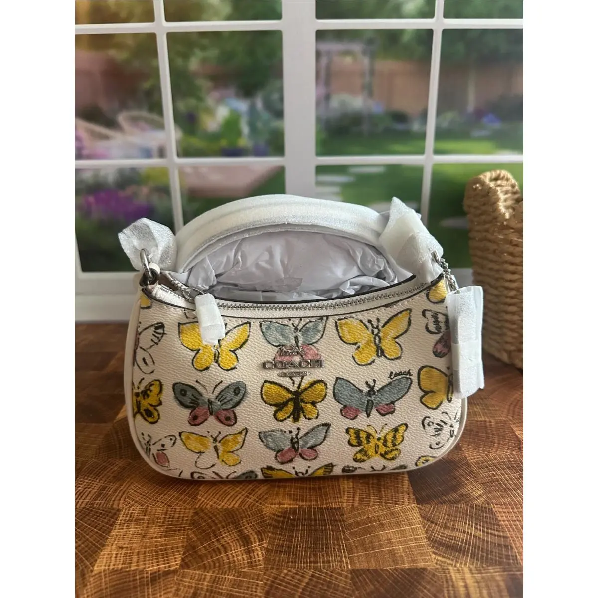 Coach Teri Mini Crossbody Bag with Butterfly Print CAJ94