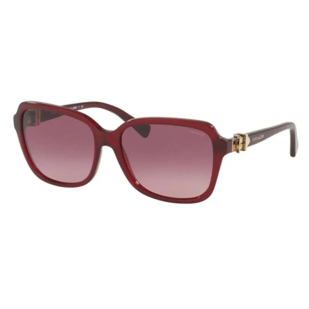 HC8179 5393G2 58 Woman`s Burgundy Sunglasses Burgundy Lenses Acetate Frame by Coach