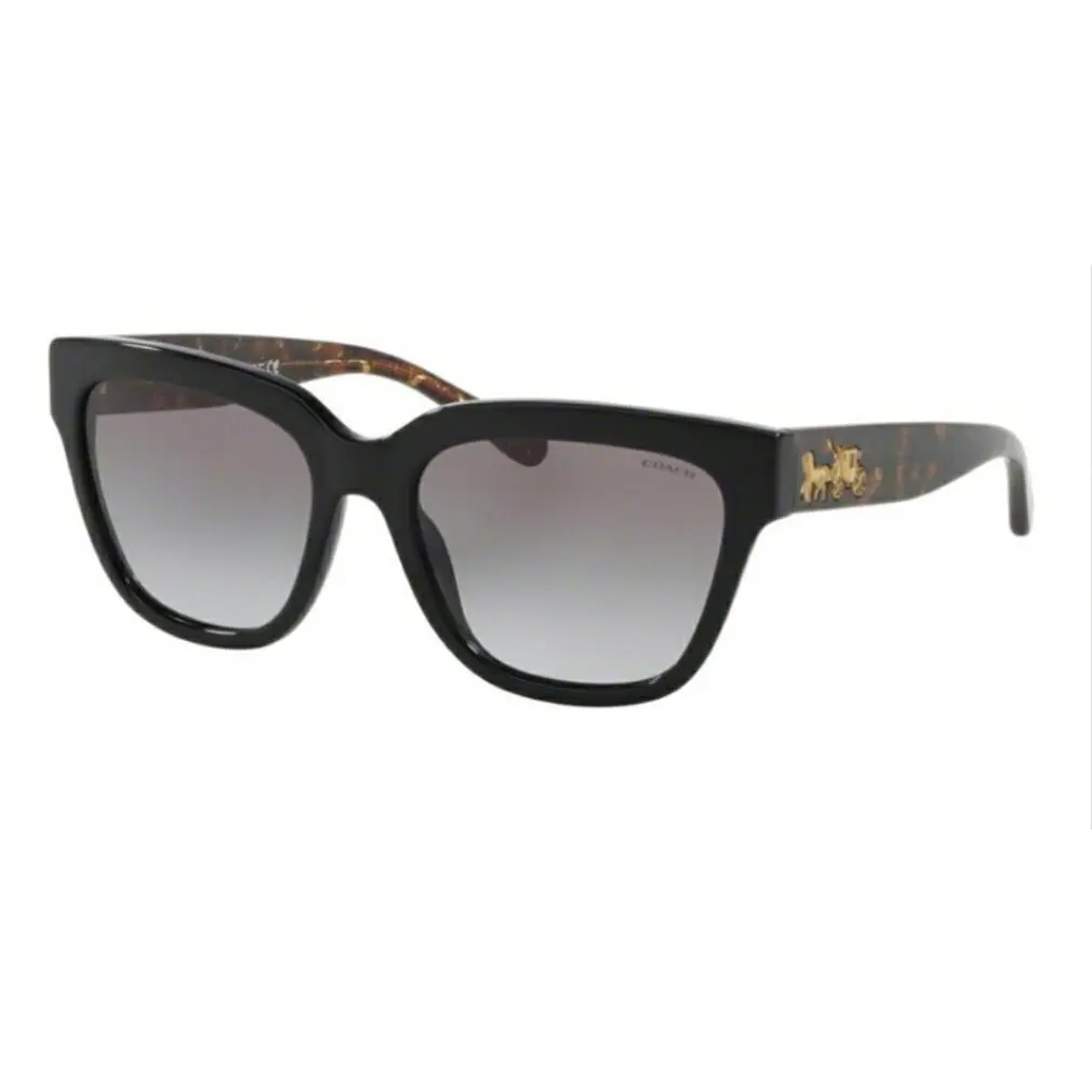 HC 8262 L-1082 500211 Black Woman`s Sunglasses by Coach