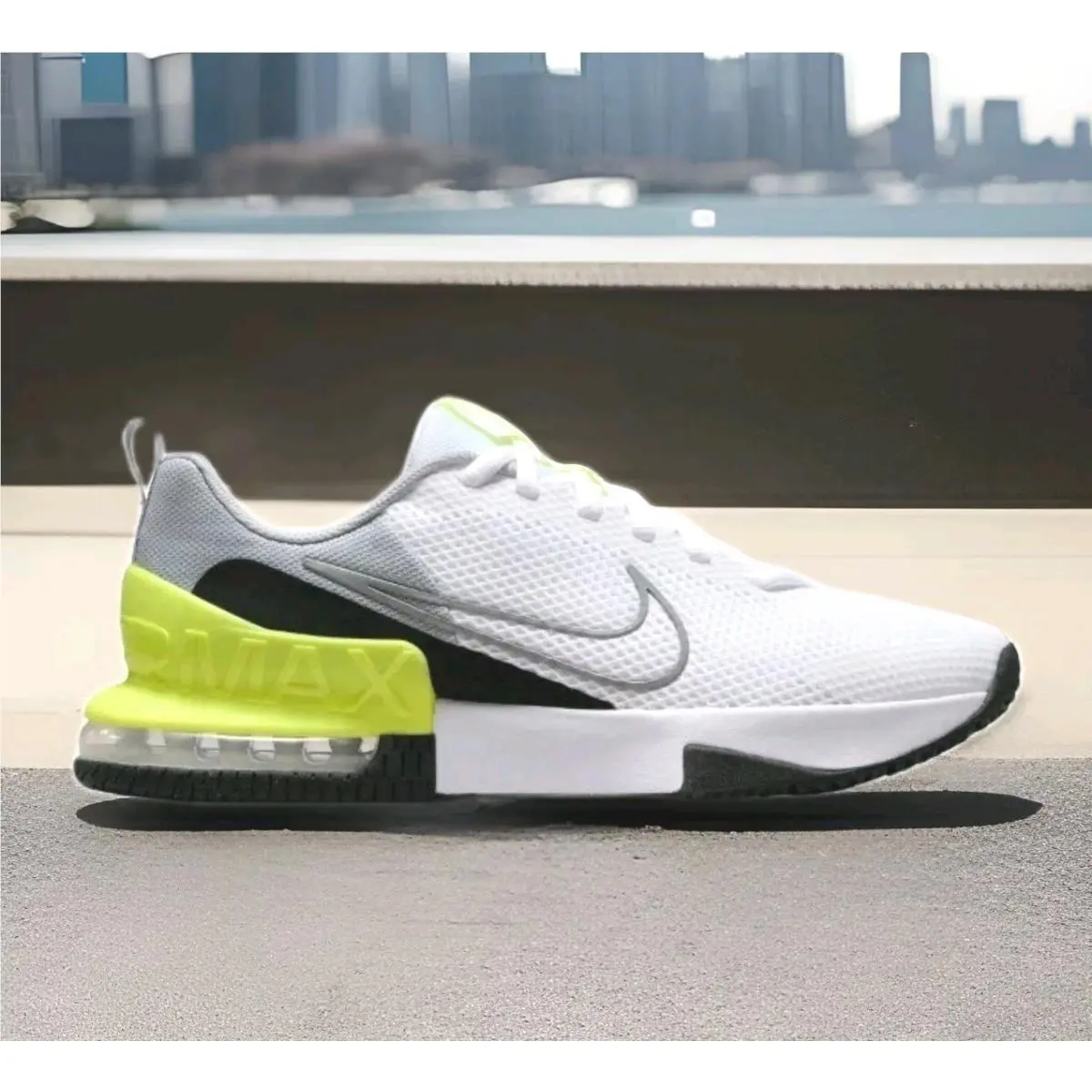 Nike shoes - Nike Air Max Alpha - Air Max Alpha - FQ1833-006 - Gray 18