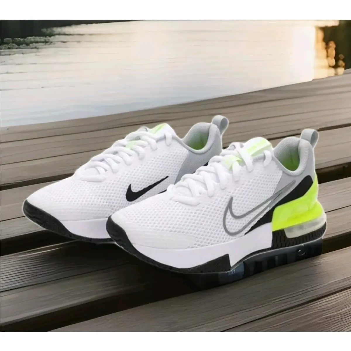 Nike shoes - Nike Air Max Alpha - Air Max Alpha - FQ1833-006 - Gray 19