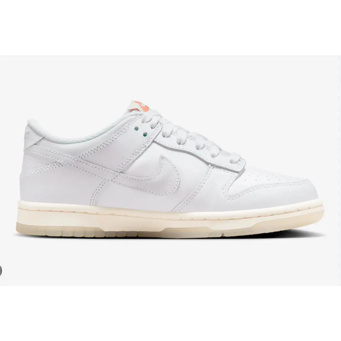 Nike shoes - Rainbow Lace Swoosh/White 0