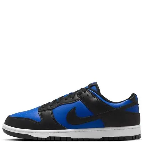 Nike shoes - Nike Dunk Low Retro - Dunk Low Retro - HF5441-401 - Blue 4