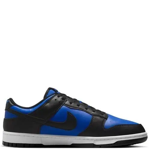Nike shoes - Nike Dunk Low Retro - Dunk Low Retro - HF5441-401 - Blue 5