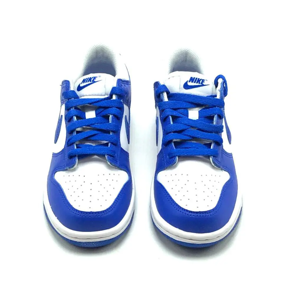Nike shoes - Nike Dunk Low GS - Dunk Low - Blue 4