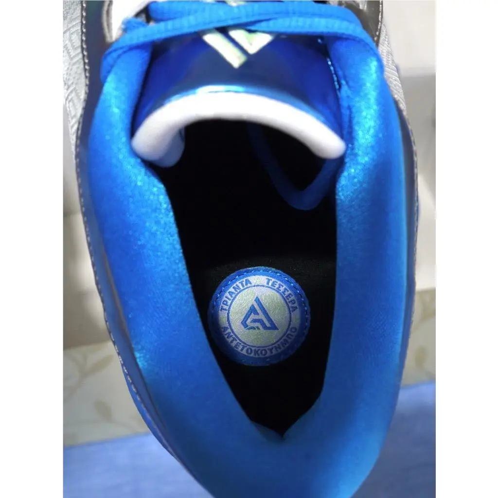 Nike shoes - FREAK 5 - FREAK - DX4985-402 - Blue,Silver,Black 12