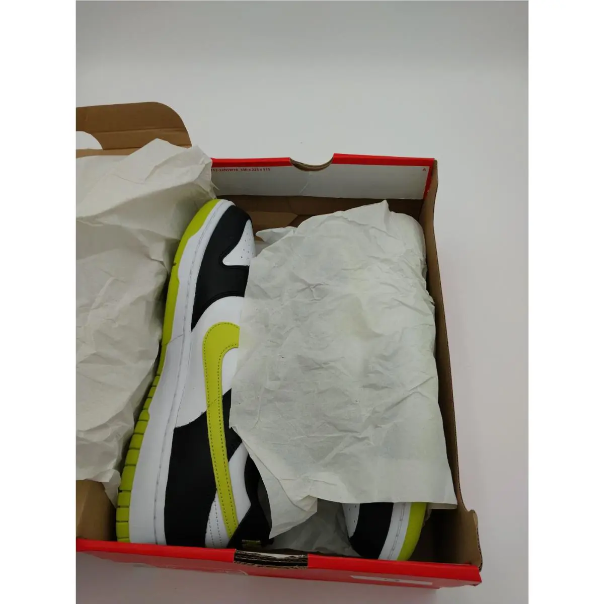 Nike shoes - Nike Dunk - Dunk - DV0833-110 - Black 3