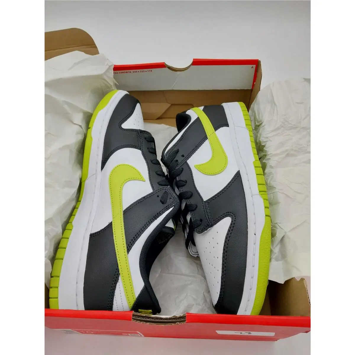 Nike shoes - Nike Dunk - Dunk - DV0833-110 - Black 4