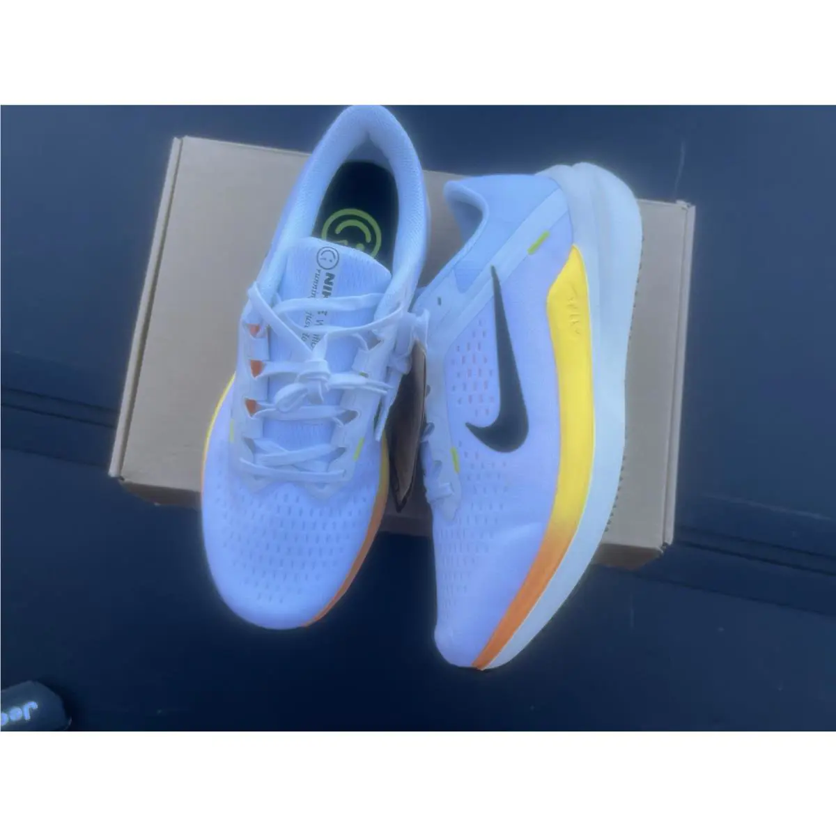 Nike shoes - Nike Air Winflo 10 - Air Winflo - DV4023-101 - White 1