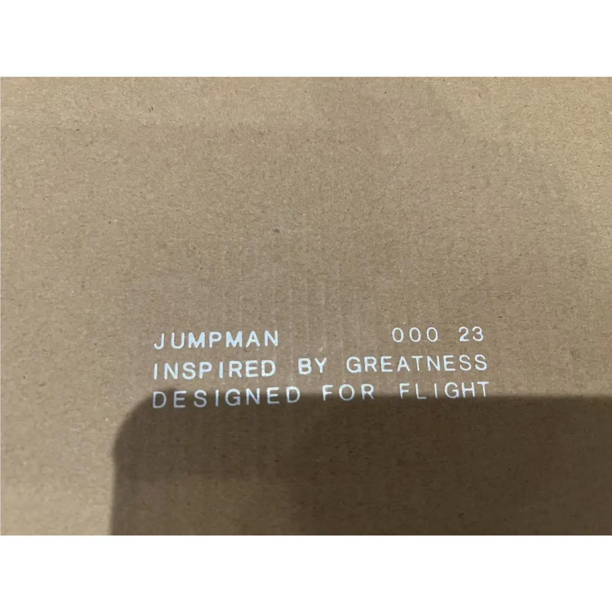 Nike shoes - Jordan Air 200E - Air - DC9836-105 - White 18
