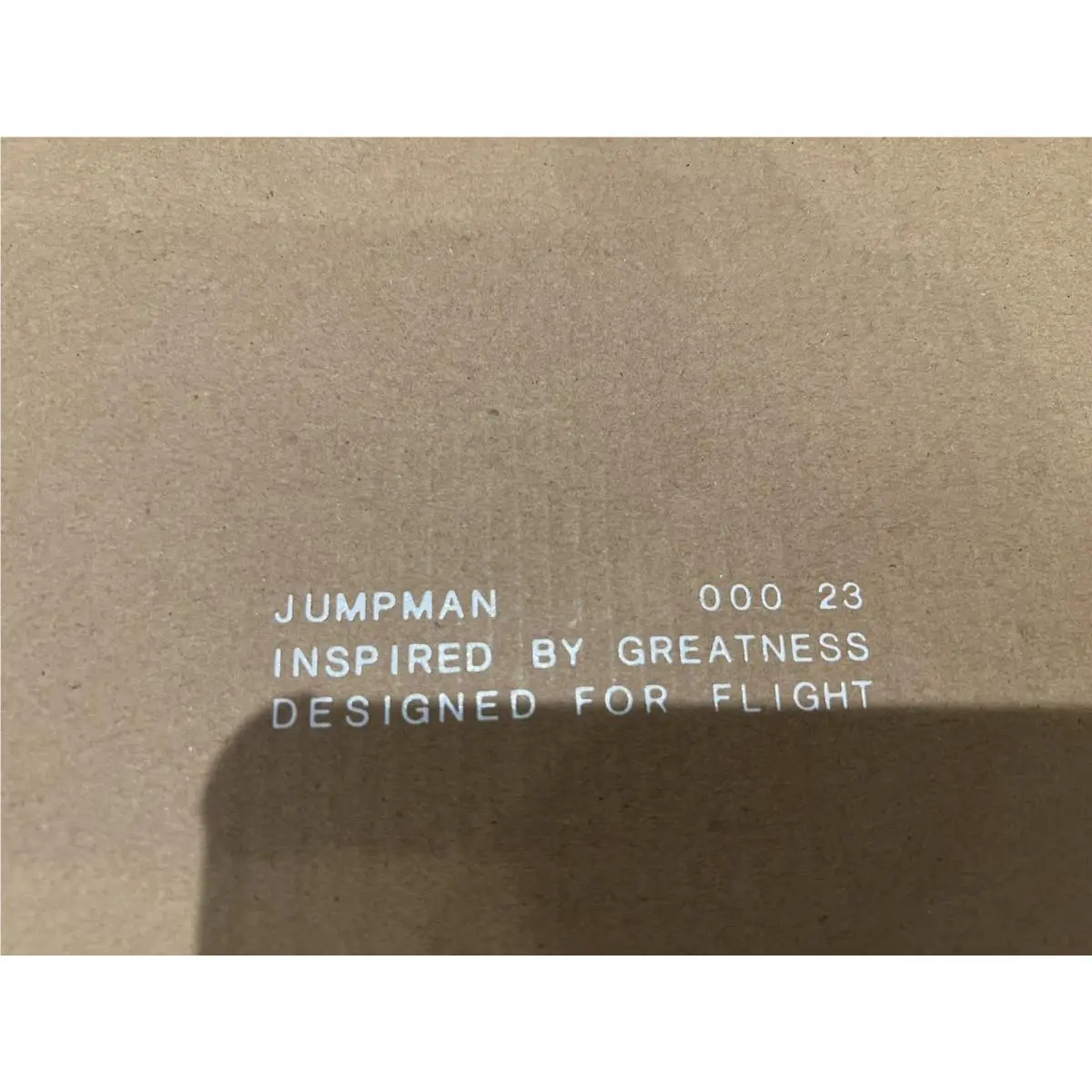 Nike shoes - Jordan Air 200E - Air - DC9836-105 - White 18