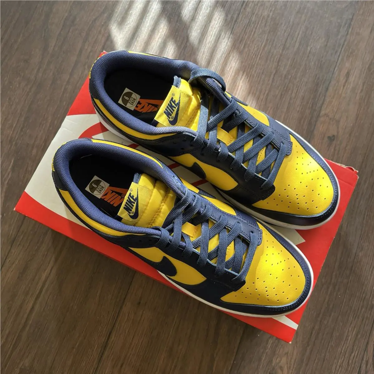 Nike shoes - Nike Dunk Low Retro - Dunk Low Retro - DD1391-700 - Yellow 1