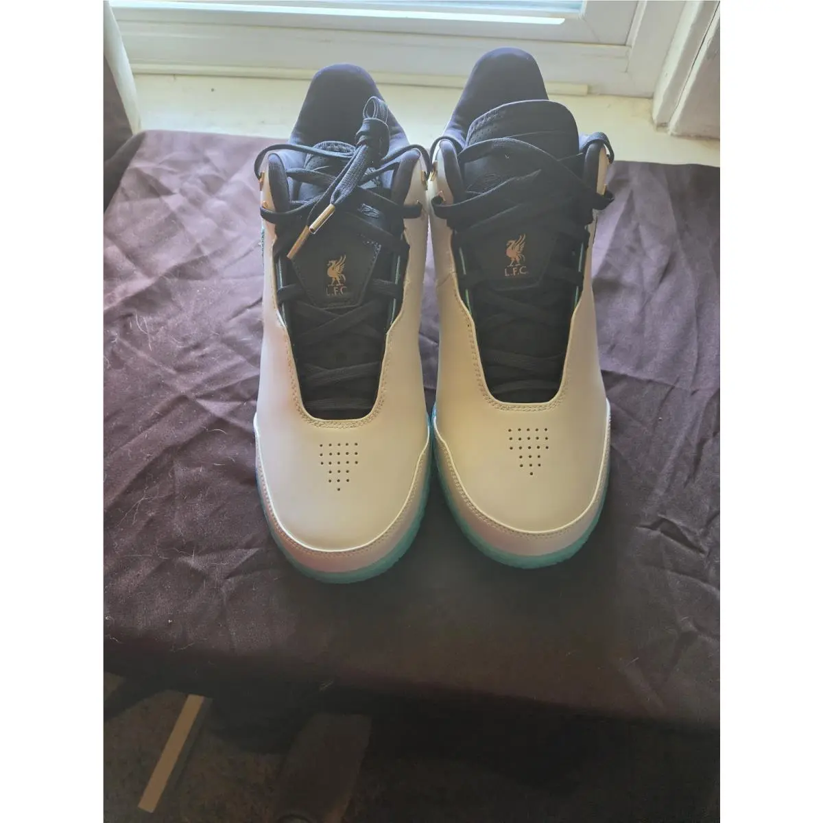 Nike shoes - Nike Zoom LeBron NXXT Gen - FJ1566-101 - Ivory 8