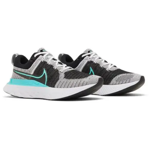 Nike shoes - Nike React Infinity Run - React Infinity Run - CT2423-103 - Black 1