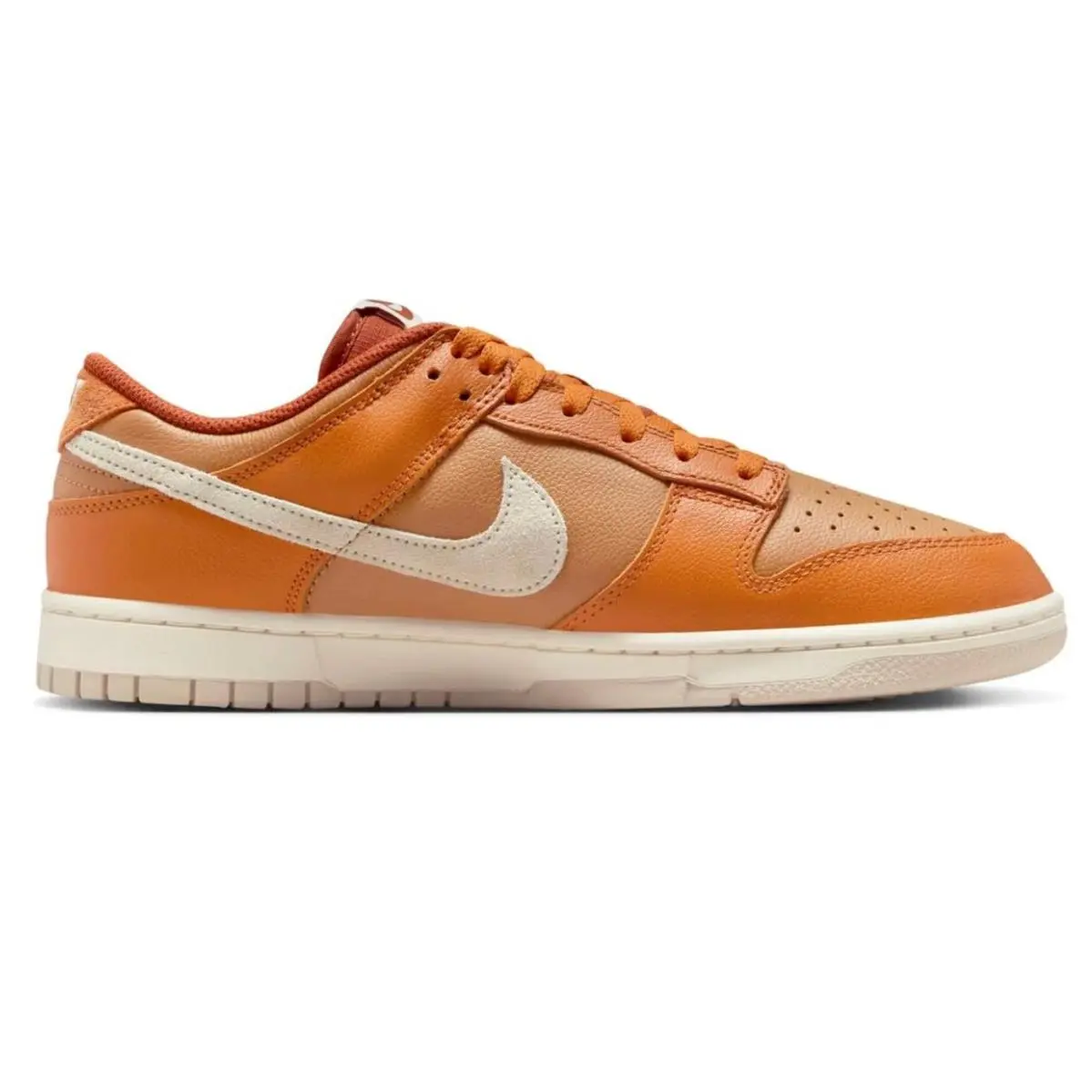 Nike shoes - Nike Dunk Low Retro SE - HJ9121 815 - Multicolor 0