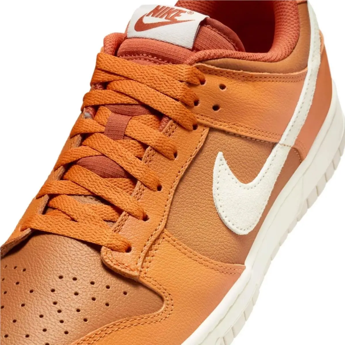 Nike shoes - Nike Dunk Low Retro SE - HJ9121 815 - Multicolor 5