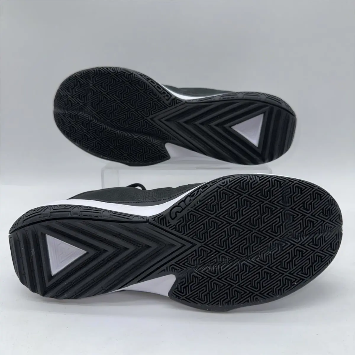 Nike shoes - Nike Zoom Freak - Zoom Freak - DZ2946-001 - Black 1