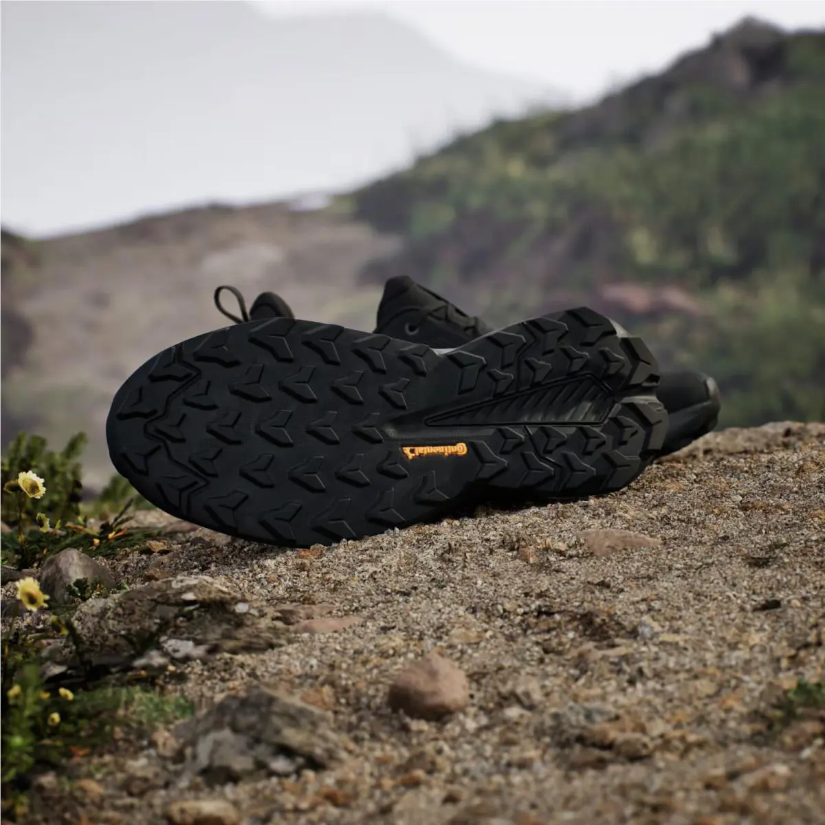 Adidas shoes - adidas Core - Core - Black 1