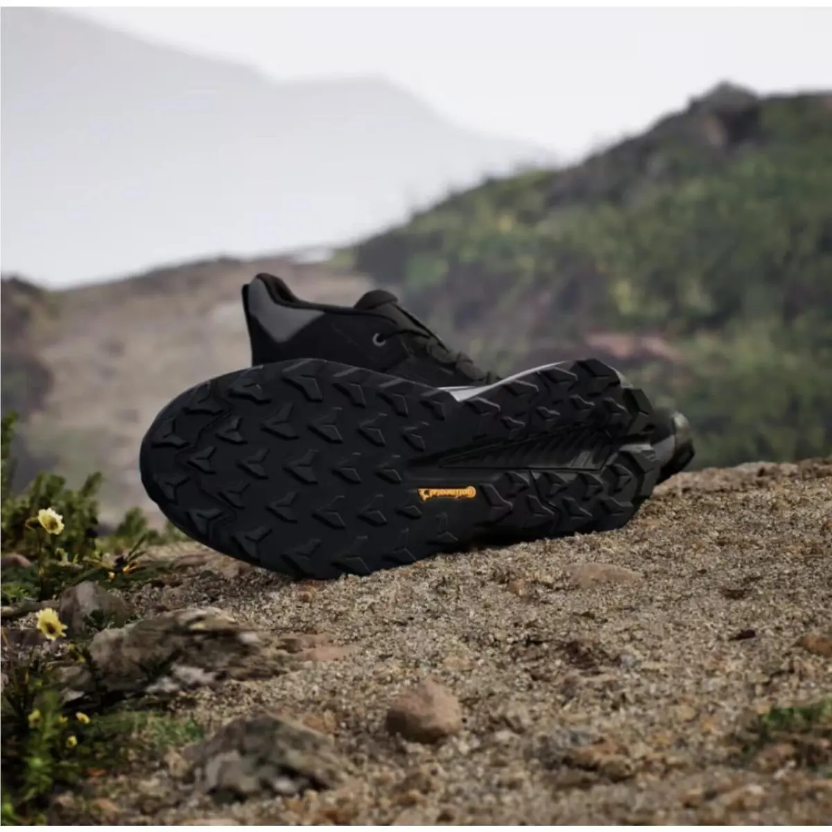 Adidas shoes - adidas 2.0 - Black 1