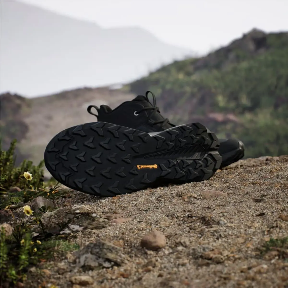 Adidas shoes - adidas 2.0 - Black 1