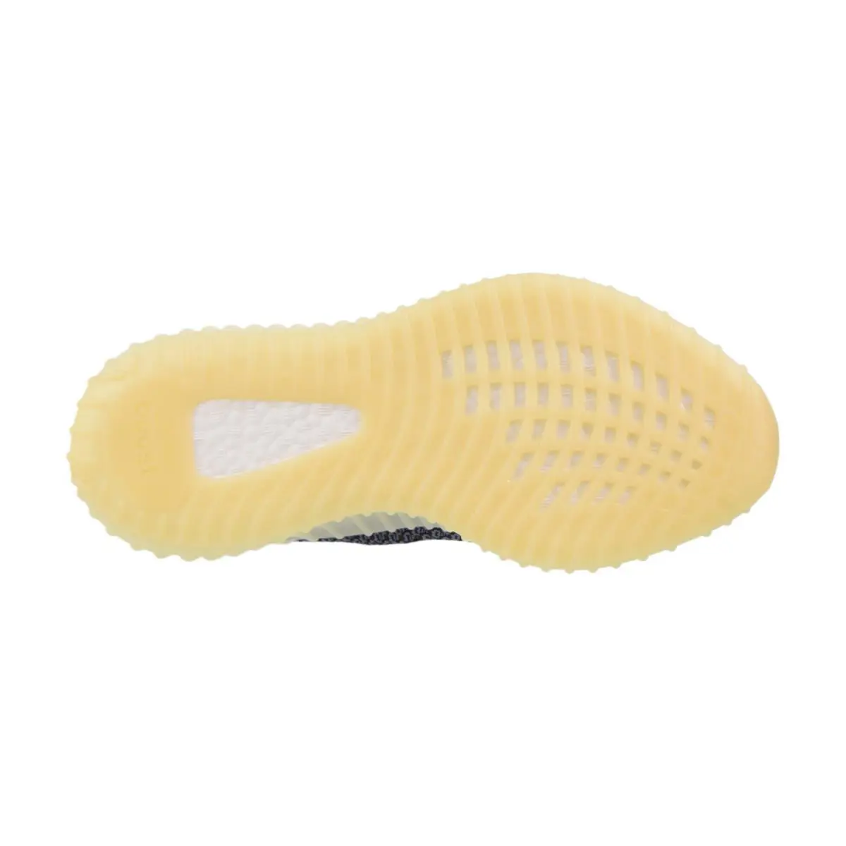 Adidas shoes - Asriel-Carbon 10