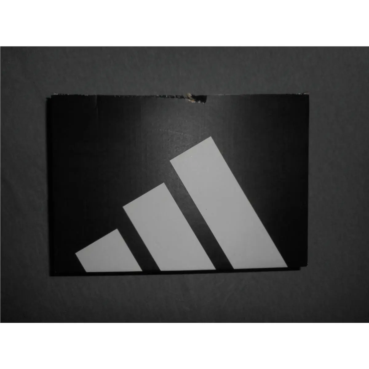 Adidas shoes - White 7