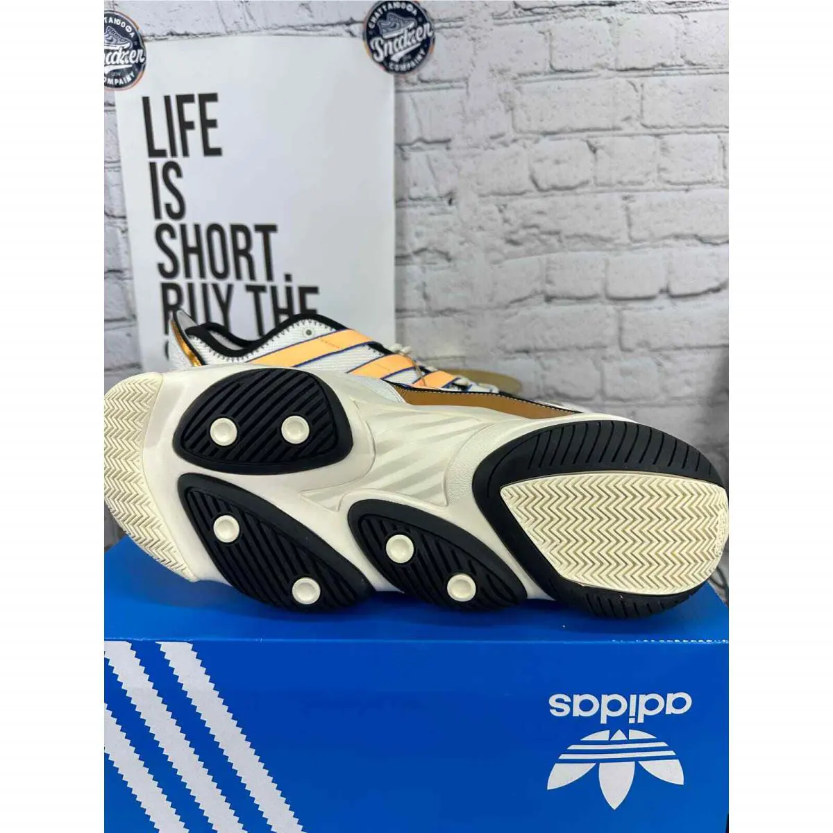 Adidas shoes - White 5