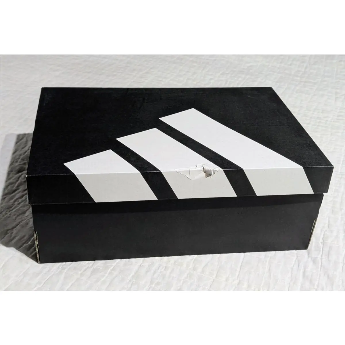 Adidas shoes - adidas Racer TR23 - Racer - Adidas Racer TR23 - Blue 15