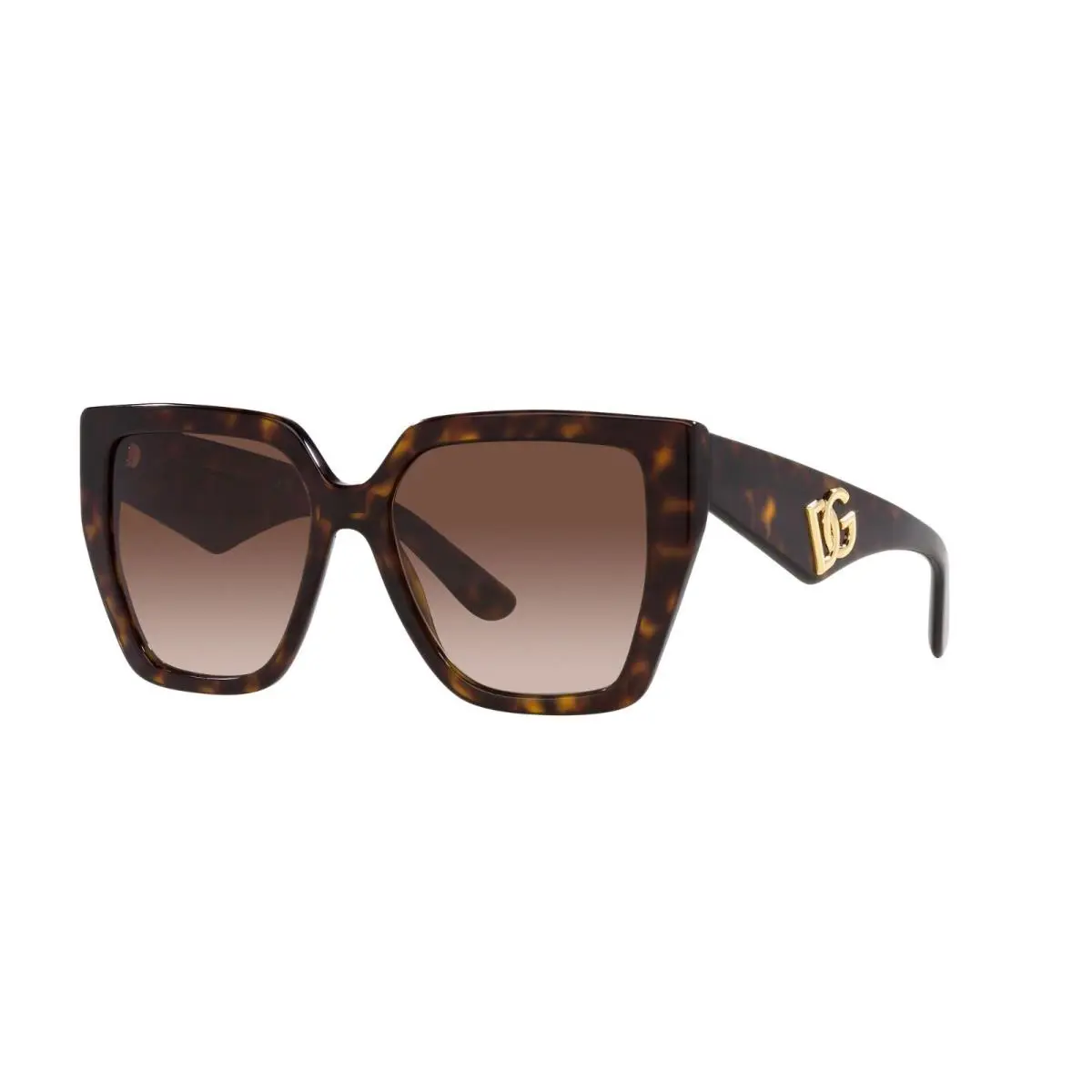Dolce Gabbana DG 4438 Havana/brown Shaded 502/13 Sunglasses - Frame: Havana, Lens: Brown Shaded