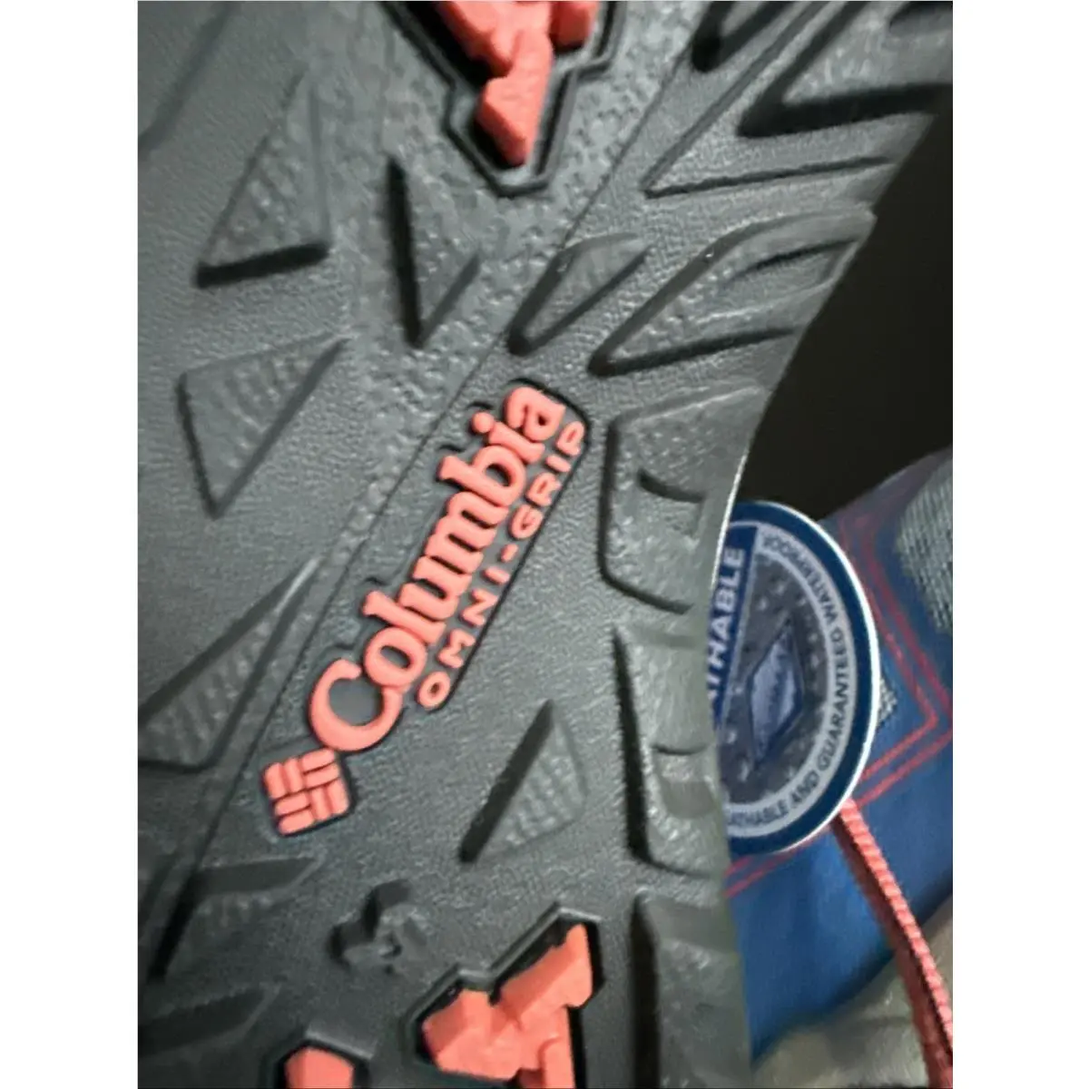 Columbia shoes - Columbia Pine Bluffs Omni Tech - Multicolor (UPC: 0190540956629) 8